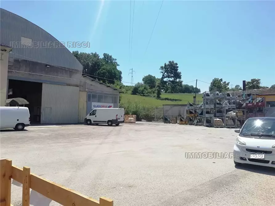 Immagine 5 di Capannone industriale in vendita  a Pontecorvo