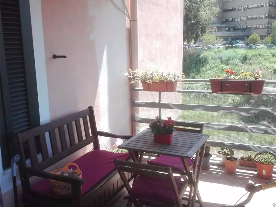 Immagine 7 di Appartamento in vendita  a Pontecorvo