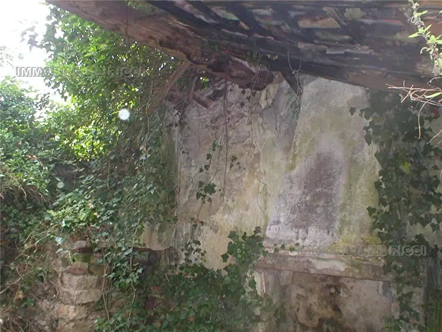 Immagine 3 di Rustico / casale in vendita  a Pastena