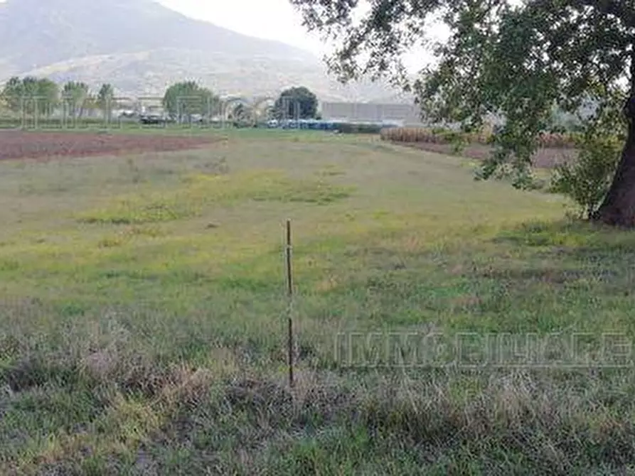 Immagine 5 di Terreno in vendita  in Via Fabbricata, snc a Pontecorvo