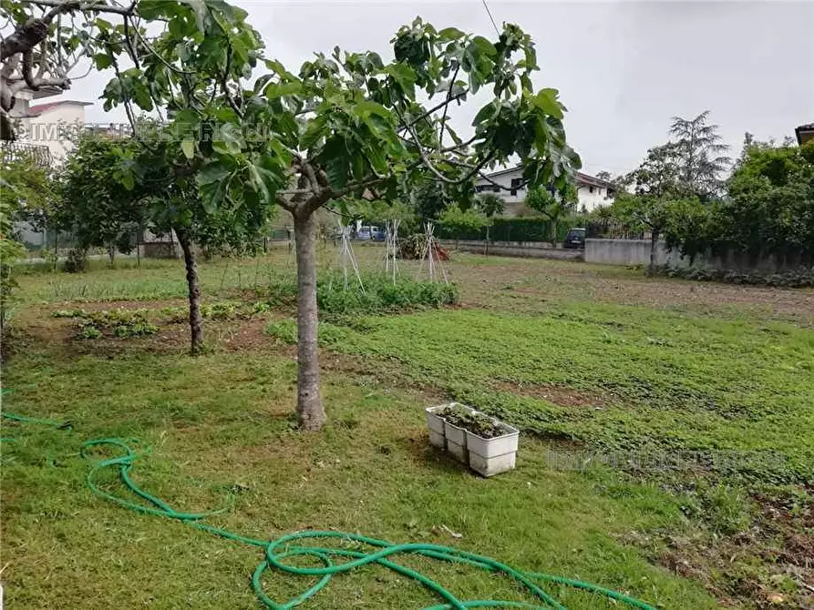Immagine 5 di Terreno in vendita  in Via Tre Fontane, snc a Pontecorvo