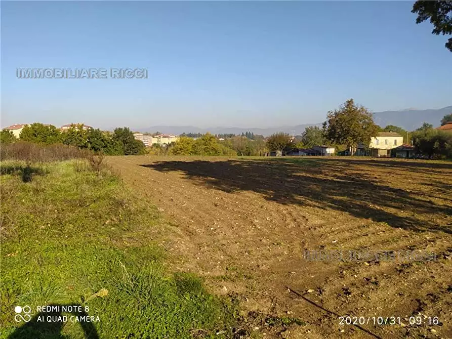 Immagine 2 di Terreno in vendita  in Via Querce Santa Maria, snc a Pontecorvo