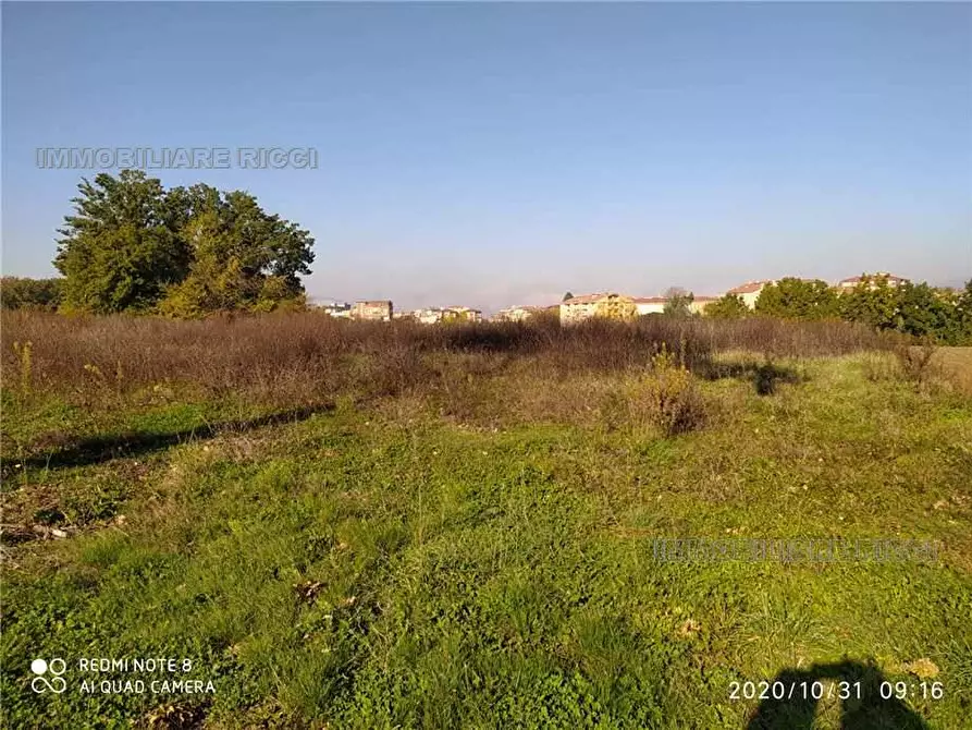 Immagine 3 di Terreno in vendita  in Via Querce Santa Maria, snc a Pontecorvo