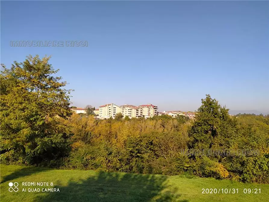 Immagine 4 di Terreno in vendita  in Via Querce Santa Maria, snc a Pontecorvo