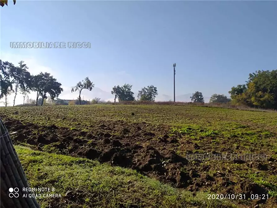 Immagine 5 di Terreno in vendita  in Via Querce Santa Maria, snc a Pontecorvo