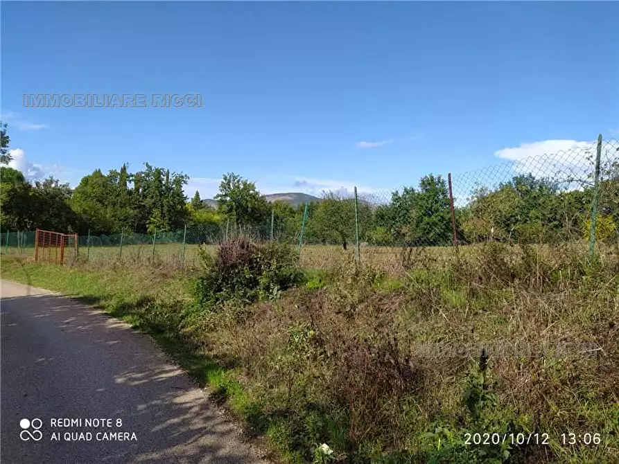 Immagine 14 di Villa in vendita  in Via Romana, snc a Esperia