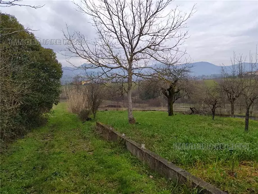 Immagine 5 di Villa in vendita  a Pontecorvo
