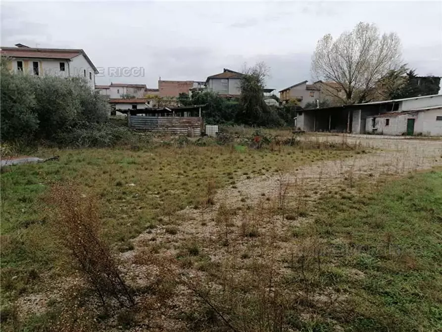 Immagine 4 di Terreno in vendita  a Pontecorvo