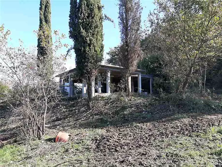 Immagine 3 di Rustico / casale in vendita  a Pontecorvo