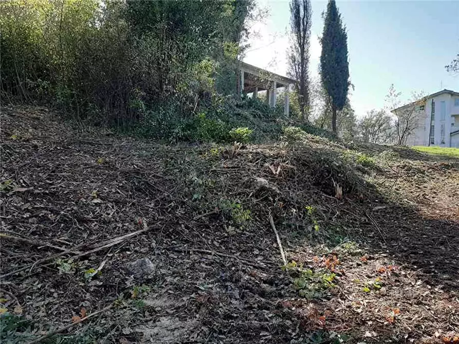 Immagine 5 di Rustico / casale in vendita  a Pontecorvo