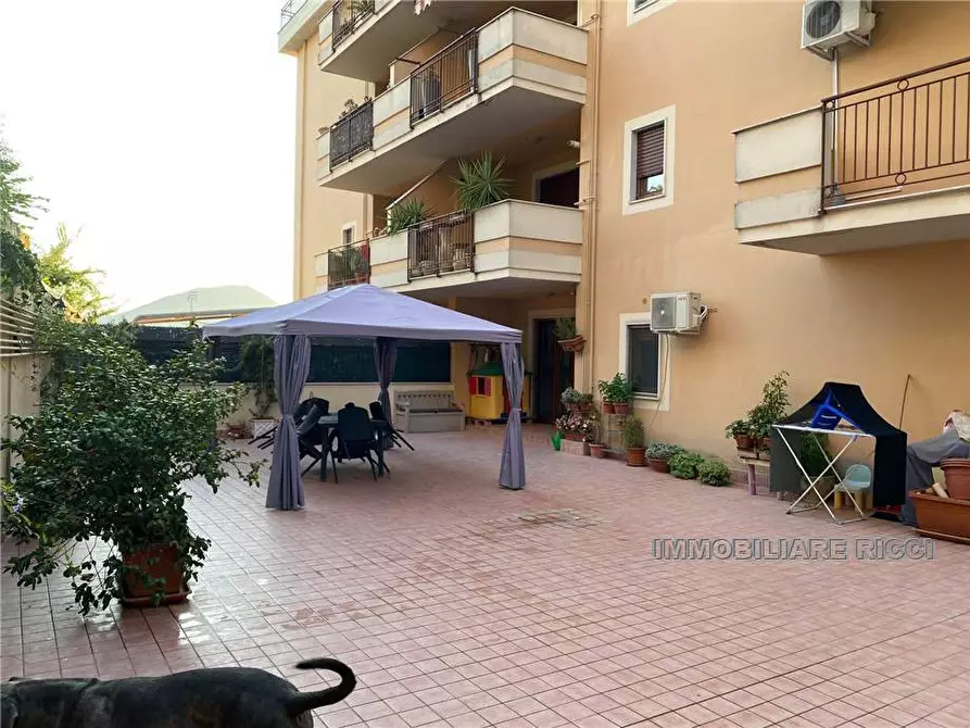 Immagine 13 di Appartamento in vendita  a Pontecorvo