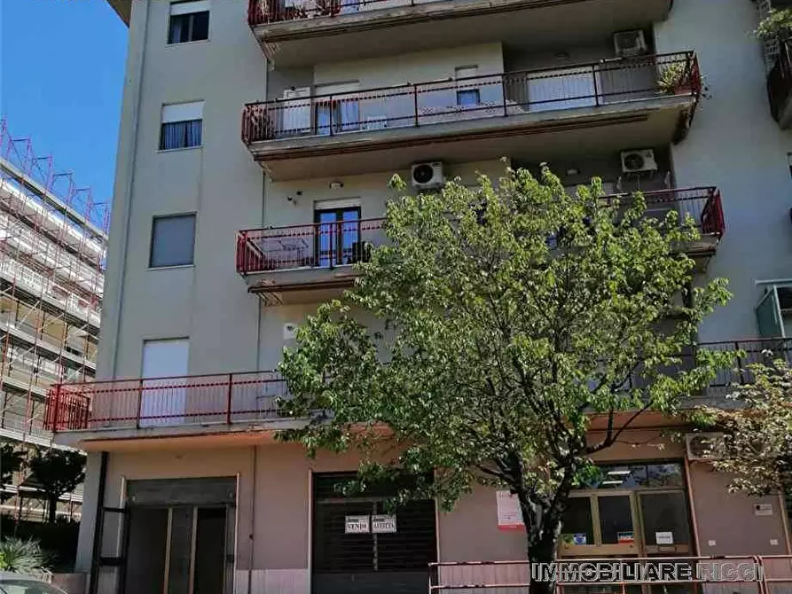 Immagine 2 di Attività commerciale in vendita  a Pontecorvo
