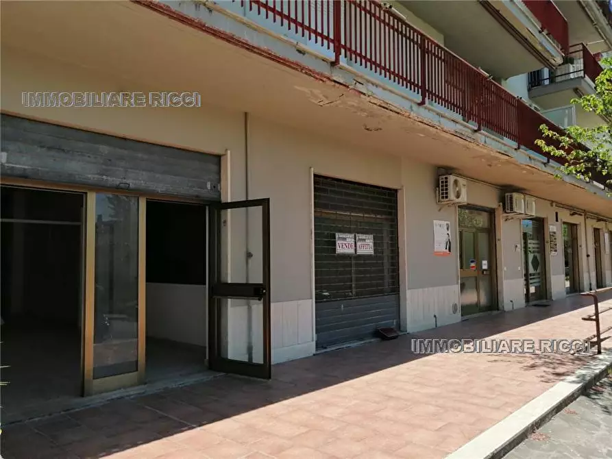 Immagine 3 di Attività commerciale in vendita  a Pontecorvo