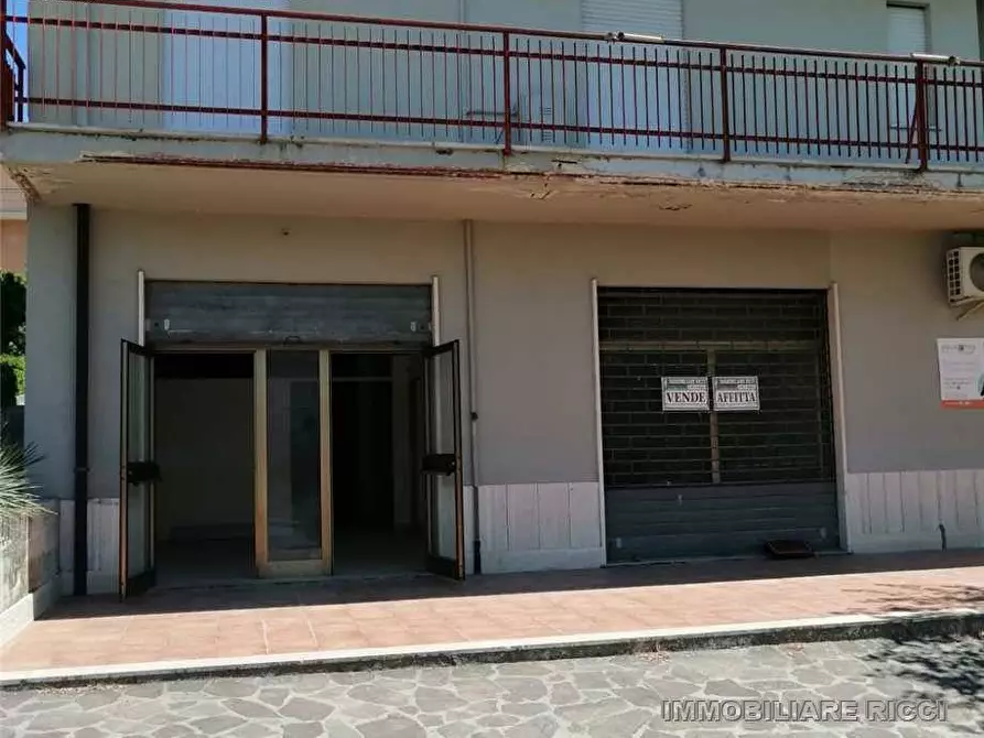 Immagine 4 di Attività commerciale in vendita  a Pontecorvo