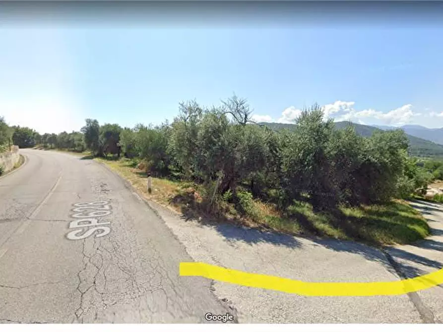 Immagine 2 di Terreno in vendita  a Pontecorvo