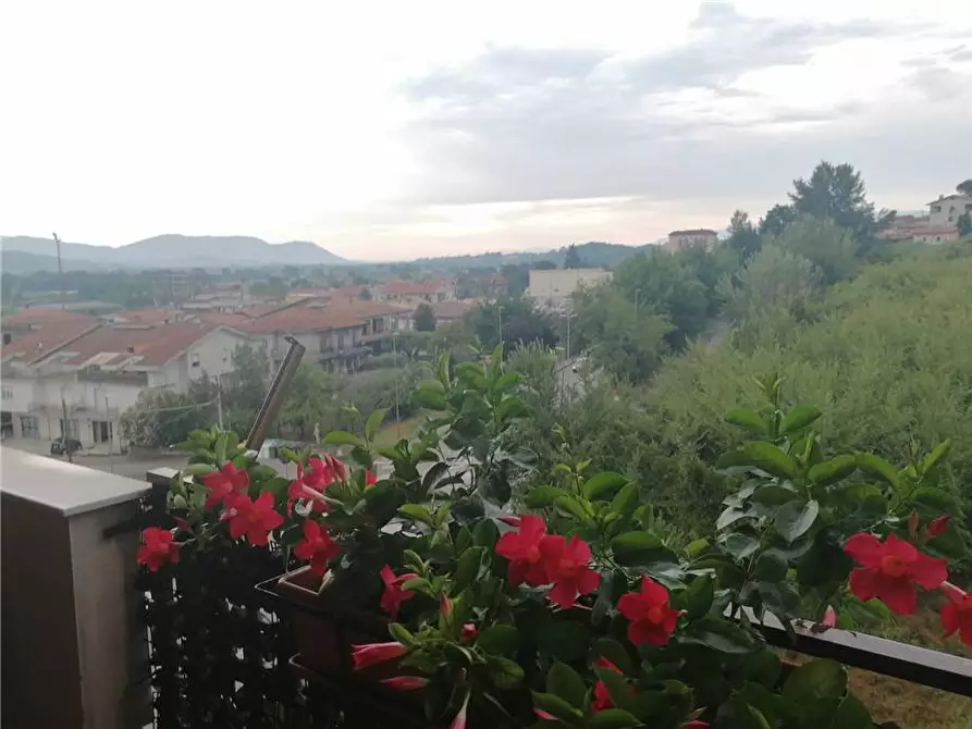 Immagine 13 di Appartamento in vendita  a Pontecorvo