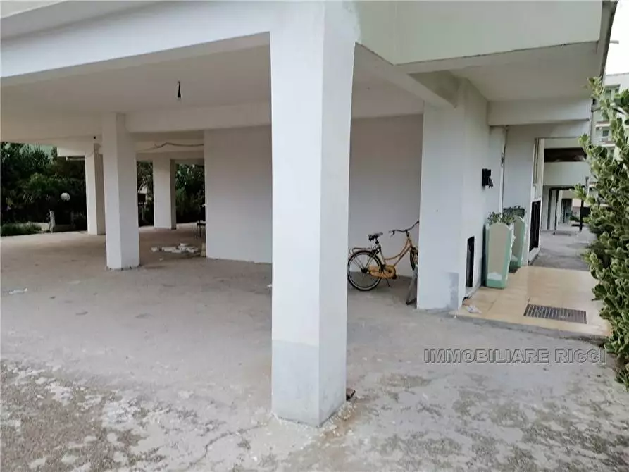 Immagine 3 di Appartamento in vendita  a Pontecorvo