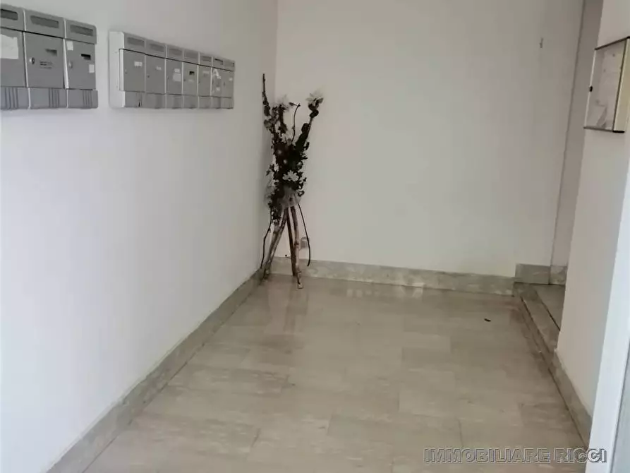 Immagine 4 di Appartamento in vendita  a Pontecorvo