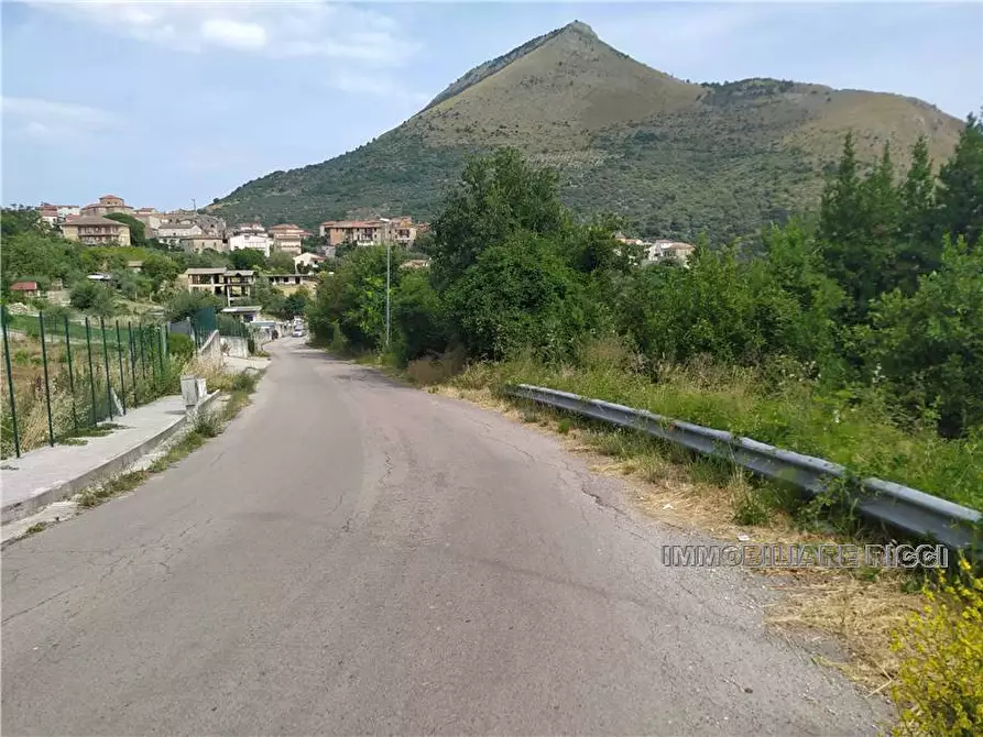Immagine 3 di Terreno in vendita  a Esperia