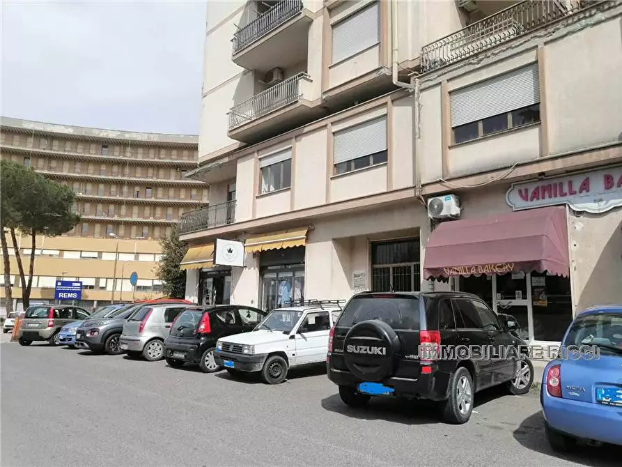 Immagine 3 di Attività commerciale in vendita  a Pontecorvo