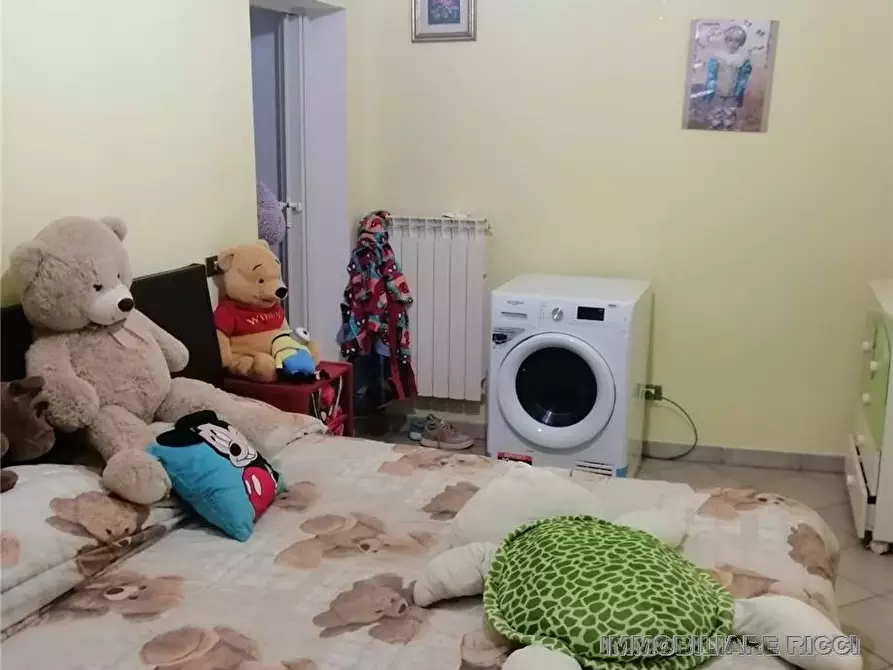 Immagine 9 di Appartamento in vendita  a Pontecorvo