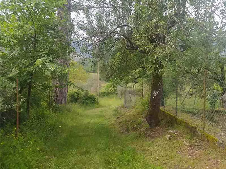 Immagine 10 di Villa in vendita  a Pontecorvo