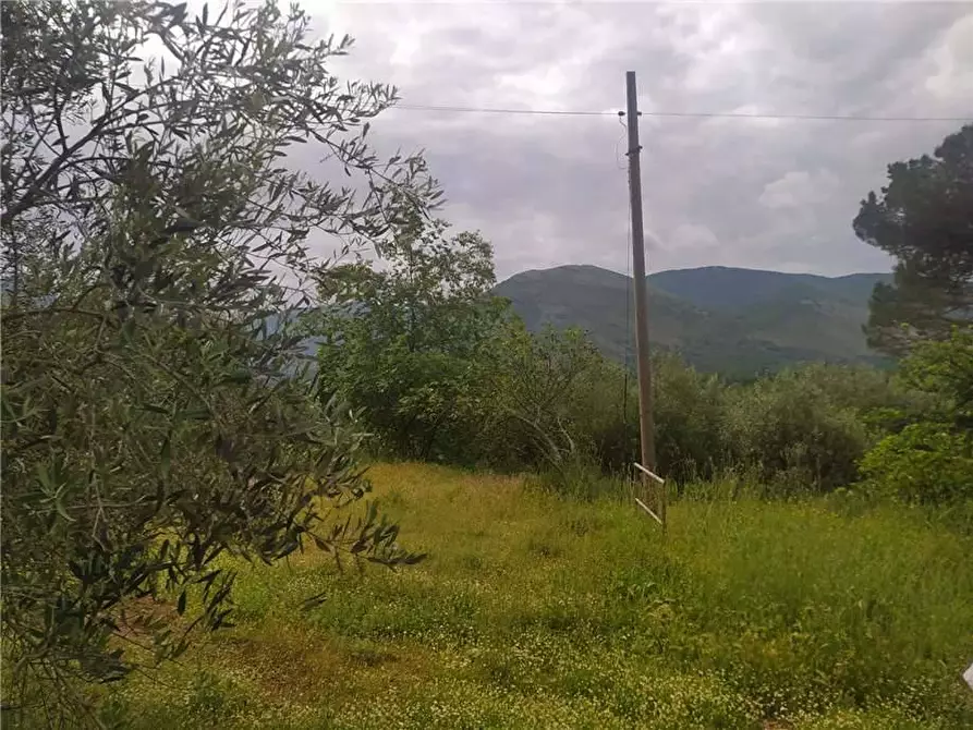 Immagine 8 di Villa in vendita  a Pontecorvo