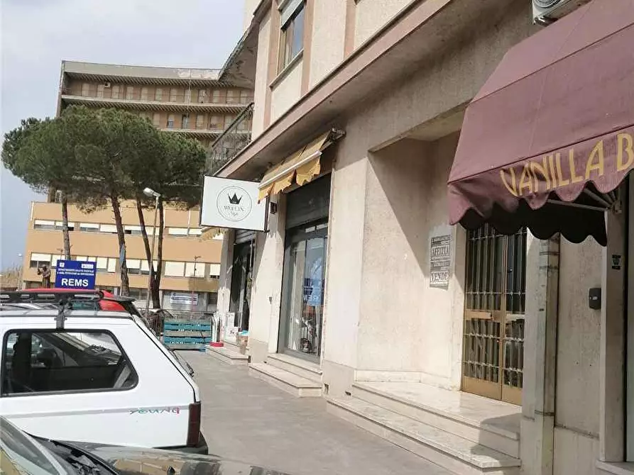 Immagine 3 di Appartamento in vendita  a Pontecorvo