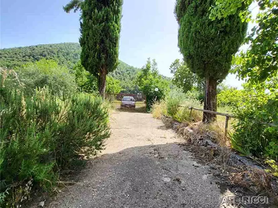 Immagine 10 di Villa in vendita  a Pontecorvo