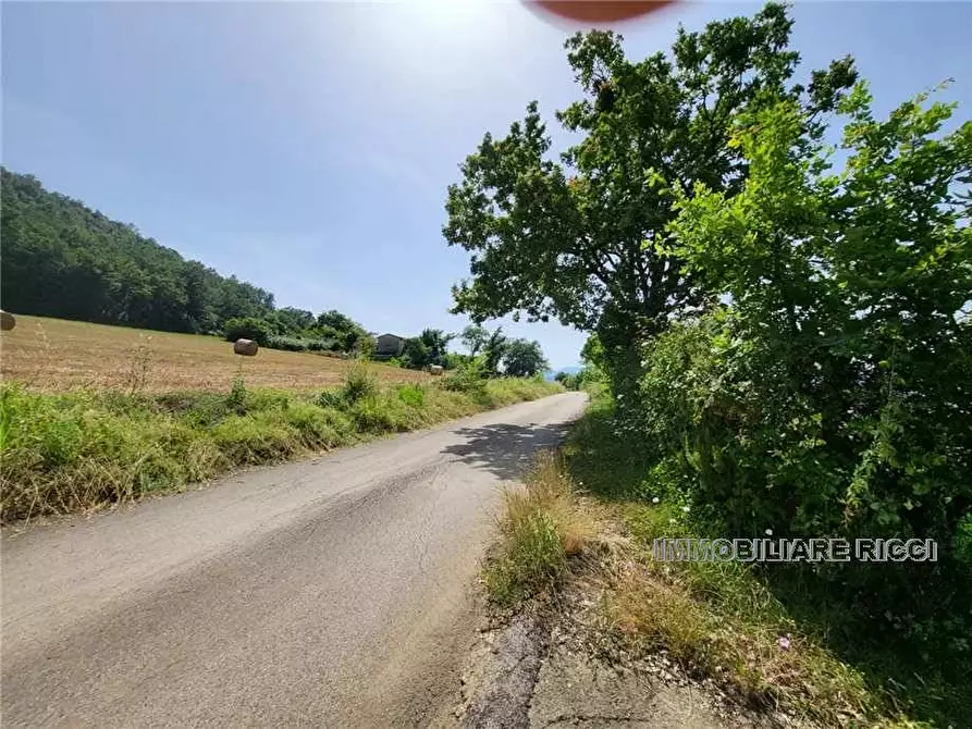 Immagine 11 di Villa in vendita  a Pontecorvo