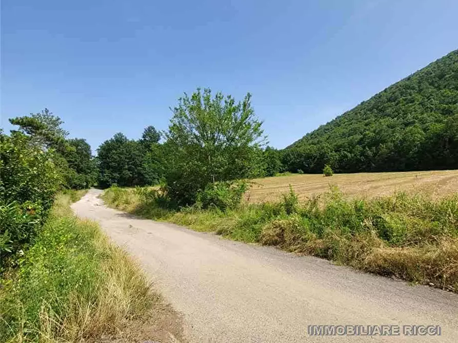Immagine 12 di Villa in vendita  a Pontecorvo