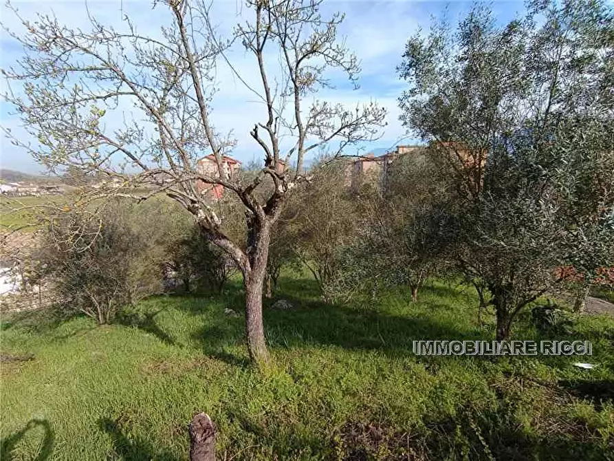 Immagine 10 di Villa in vendita  a Pontecorvo