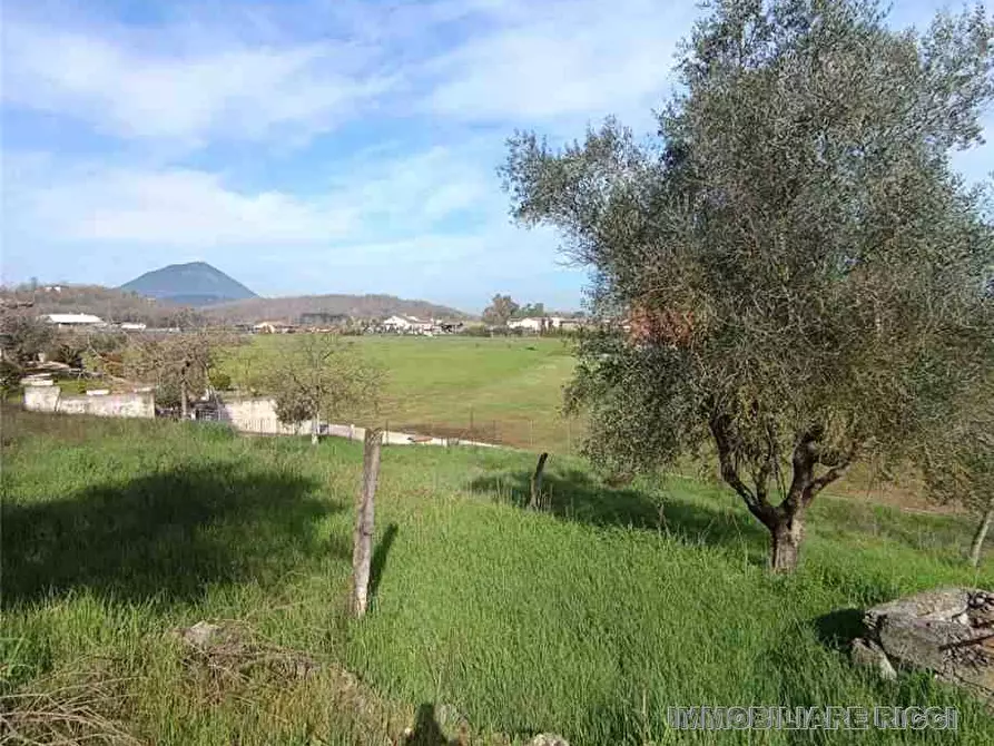 Immagine 7 di Villa in vendita  a Pontecorvo