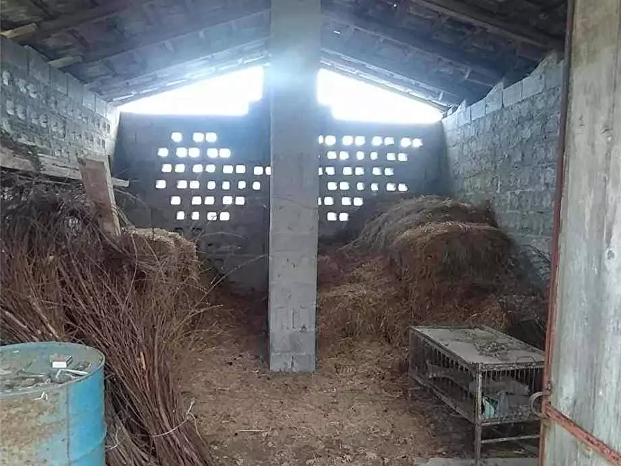Immagine 10 di Villa in vendita  a Pico