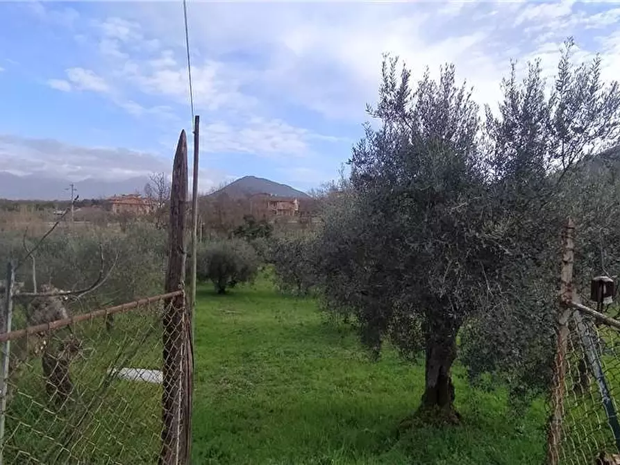 Immagine 13 di Villa in vendita  a Pico