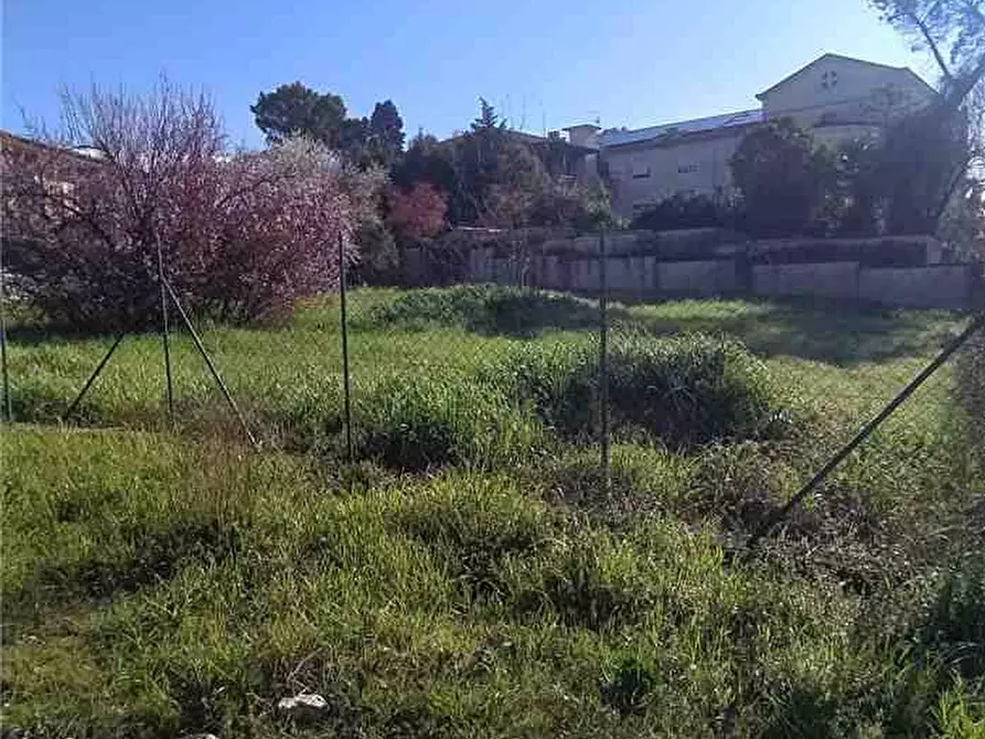 Immagine 2 di Terreno in vendita  a Pontecorvo