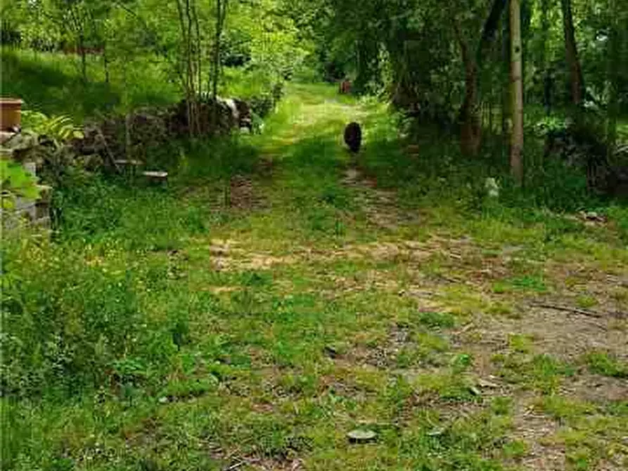 Immagine 10 di Terreno in vendita  a Pontecorvo