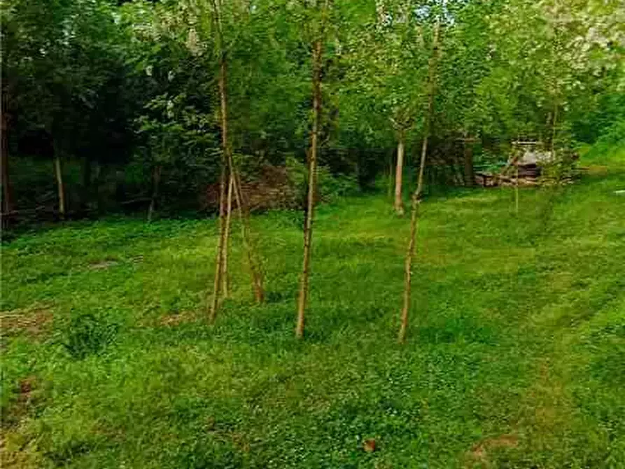 Immagine 13 di Terreno in vendita  a Pontecorvo
