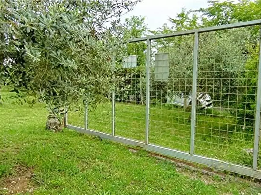 Immagine 3 di Terreno in vendita  a Pontecorvo