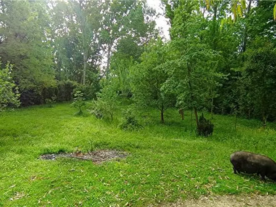 Immagine 5 di Terreno in vendita  a Pontecorvo