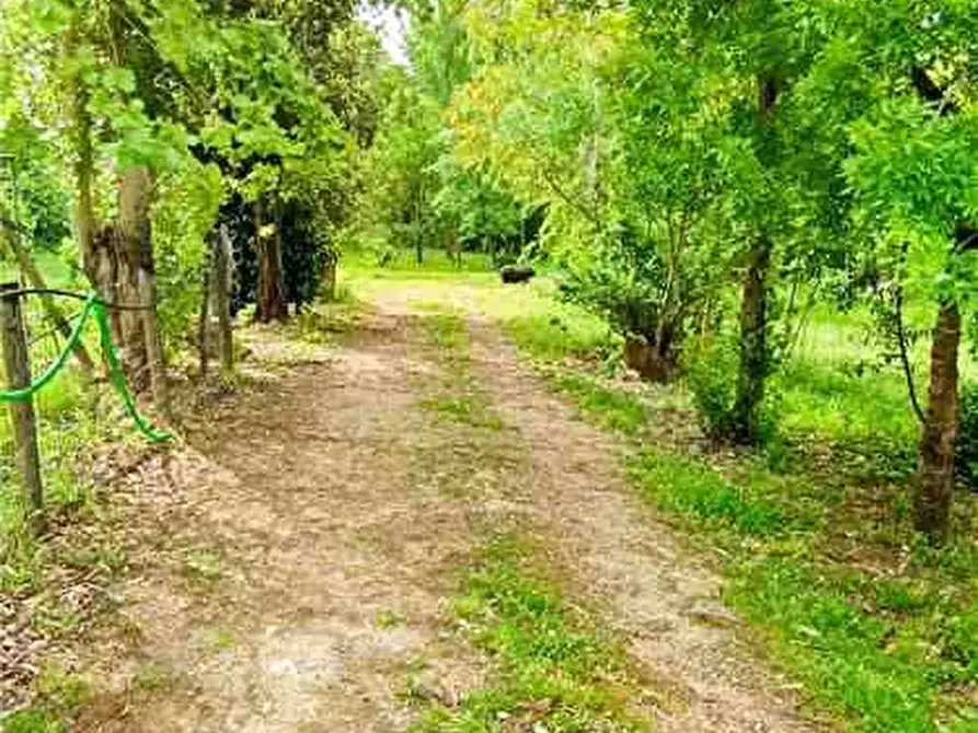 Immagine 6 di Terreno in vendita  a Pontecorvo