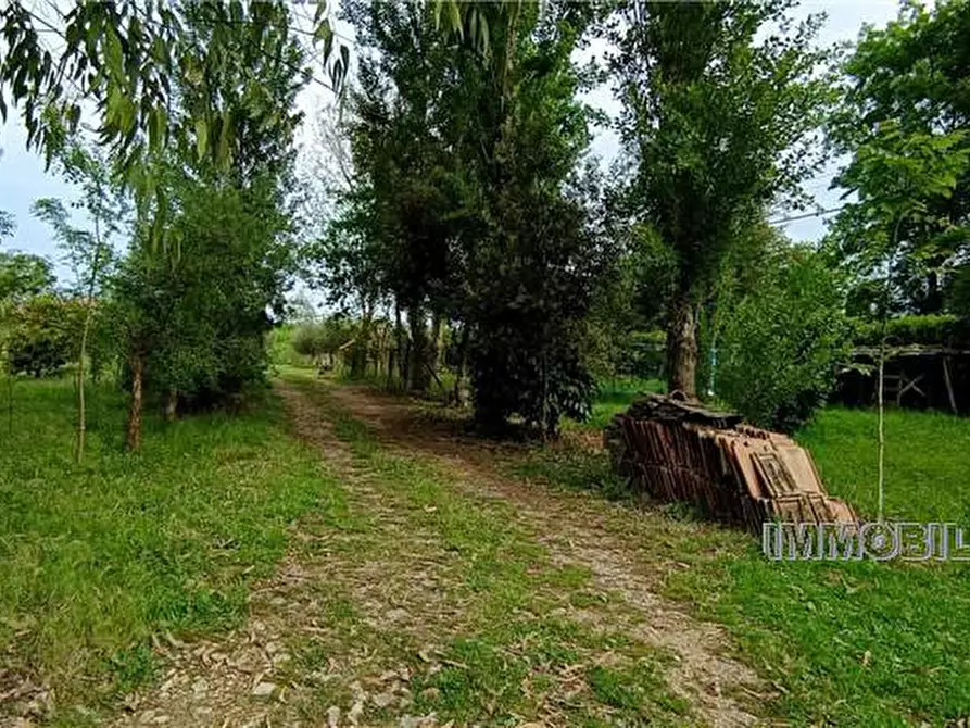 Immagine 8 di Terreno in vendita  a Pontecorvo