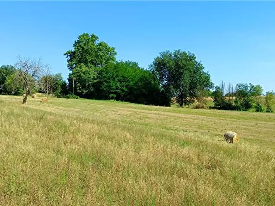 Immagine 15 di Villa in vendita  a Pontecorvo
