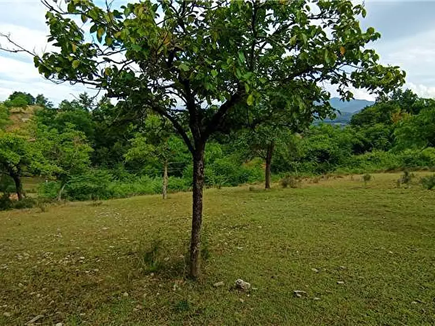 Immagine 7 di Villa in vendita  a Pontecorvo