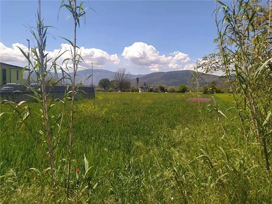 Immagine 3 di Terreno in vendita  a Pontecorvo