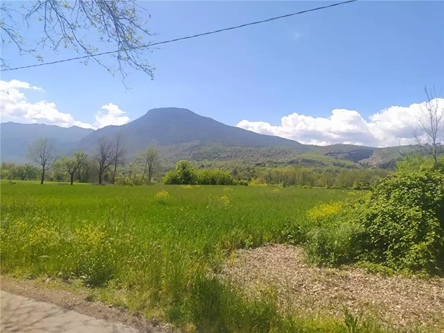 Immagine 2 di Terreno in vendita  a Pontecorvo
