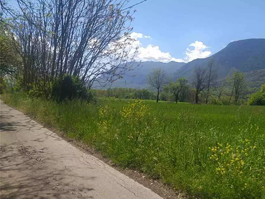 Immagine 3 di Terreno in vendita  a Pontecorvo