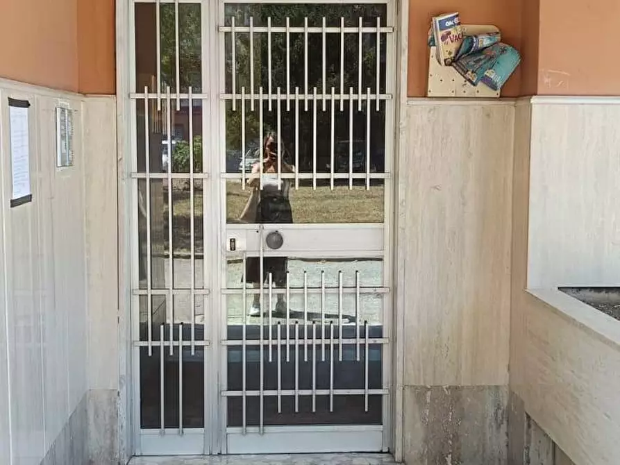 Immagine 4 di Appartamento in affitto  a Pontecorvo