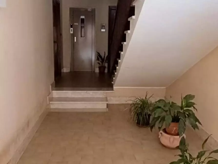Immagine 4 di Appartamento in vendita  a Pontecorvo