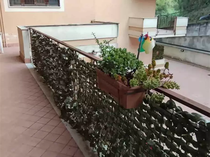 Immagine 9 di Appartamento in vendita  a Pontecorvo